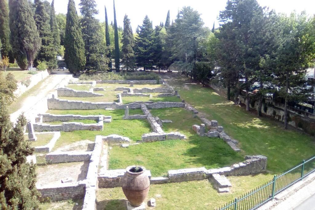 Grande Terrasse Et Vue Sur Le Site Antique Lägenhet Vaison-la-Romaine Exteriör bild